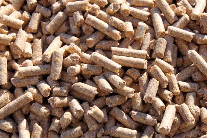 Exploring the Benefits of Feed Pellets for Cattle