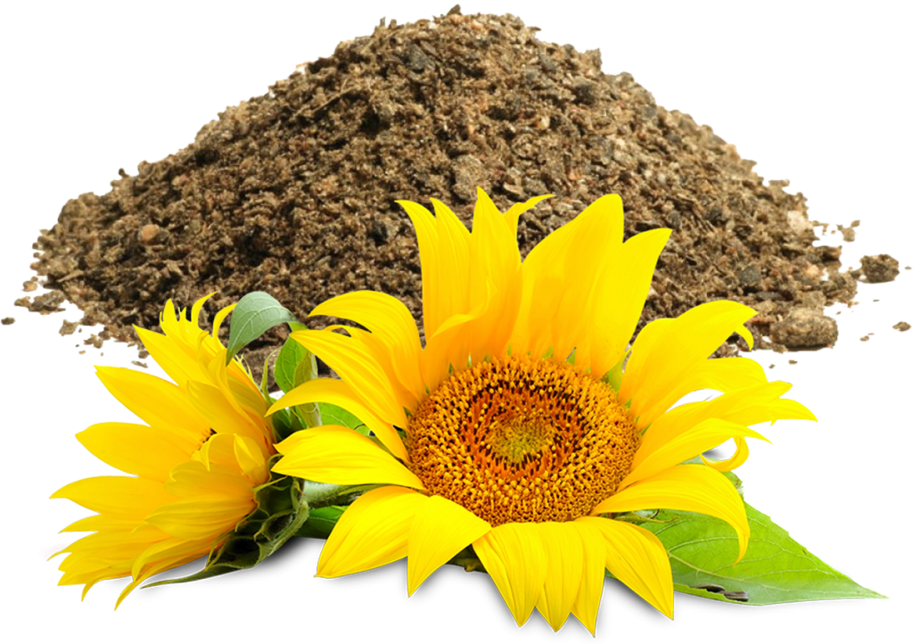 How to Use Sunflower DOC Importers Effectively