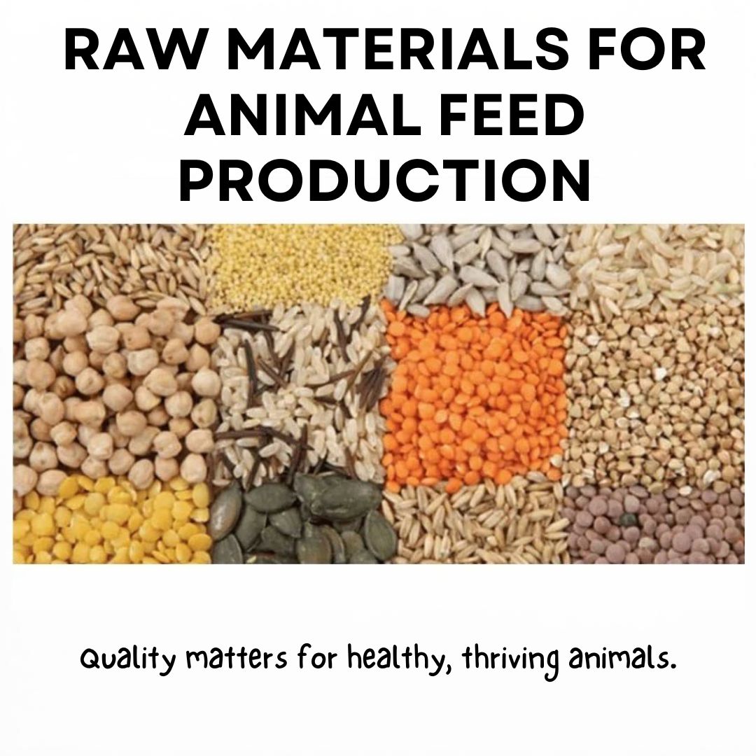 Raw Materials for Animal Feed Production: Healthier Livestock